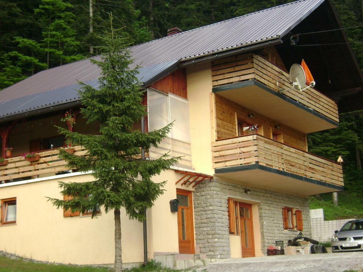 Apartment Medo Ravna Gora Exterior photo