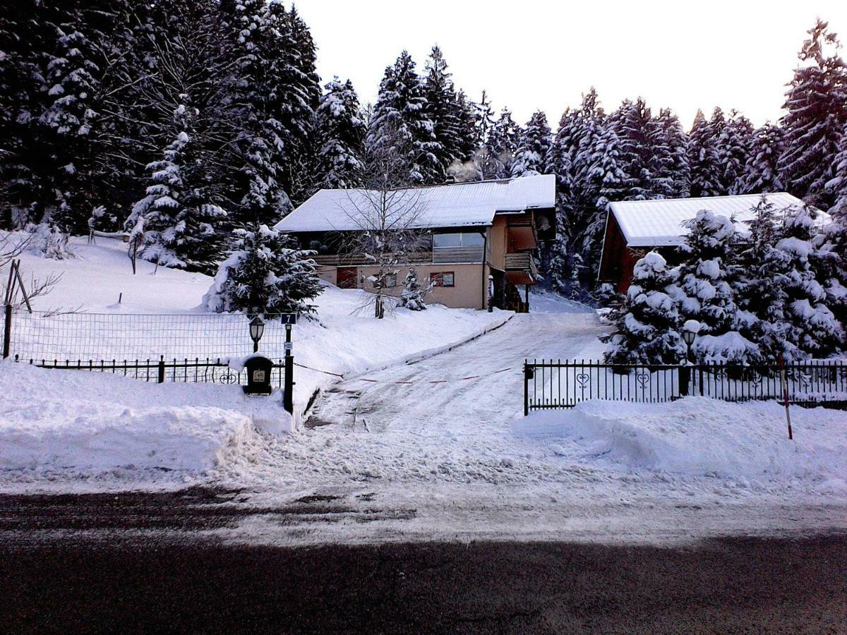 Apartment Medo Ravna Gora Exterior photo
